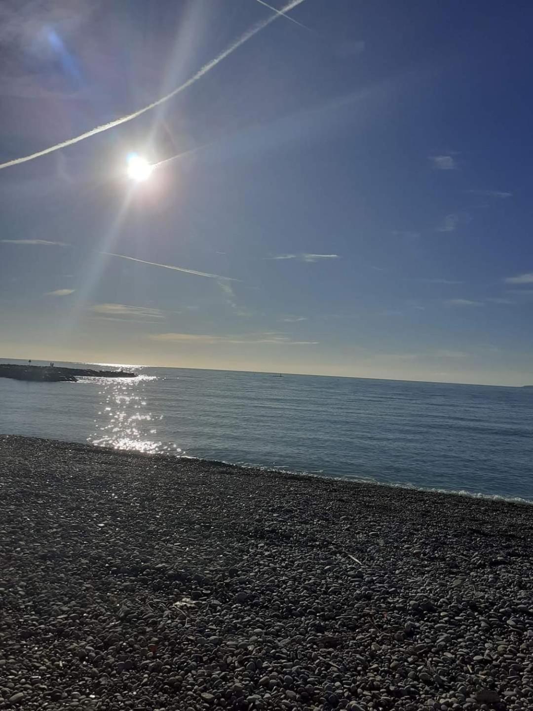 Lido, Private Apartment Seaside, Parking, Swimming Pool Cagnes-sur-Mer Eksteriør bilde